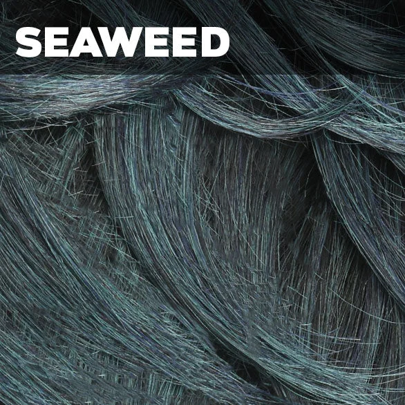 SEAWEED